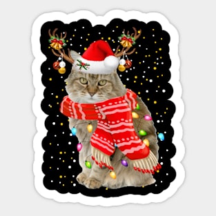 Ragamuffin Cat Christmas Sticker